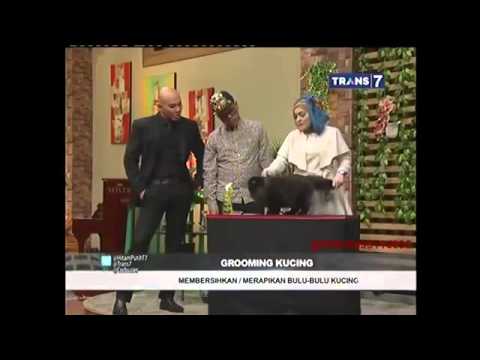 Hitam Putih - 18 Mei 2015 - Hewan Peliharaan Kucing part4