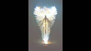 Connecting With Your Spirit Guide & Angels - Meditation Ellaeenah JadeFire