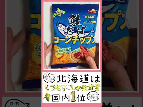 薬学科 北海道の鮭