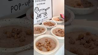 🎧🐱#asmr cat meal prep | #cat #cats #shorts