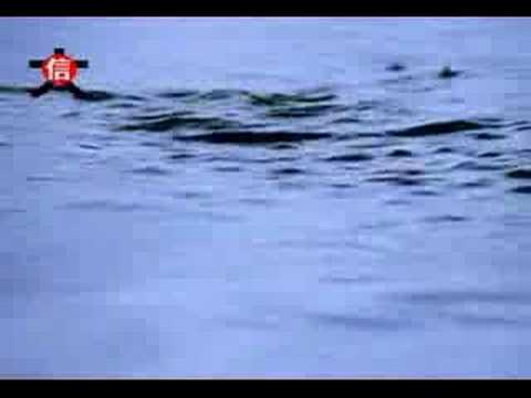 someiseiya’s Video 128455111597 WIpBHGfEbOE