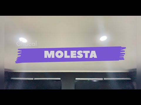 Molesta - Chacal Zumba Choreography by RVM