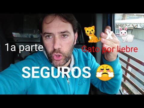 Me han TIMADO ENGAÑADO | Seguro? perito? carrocero?..1ª parte | arreglo furgo