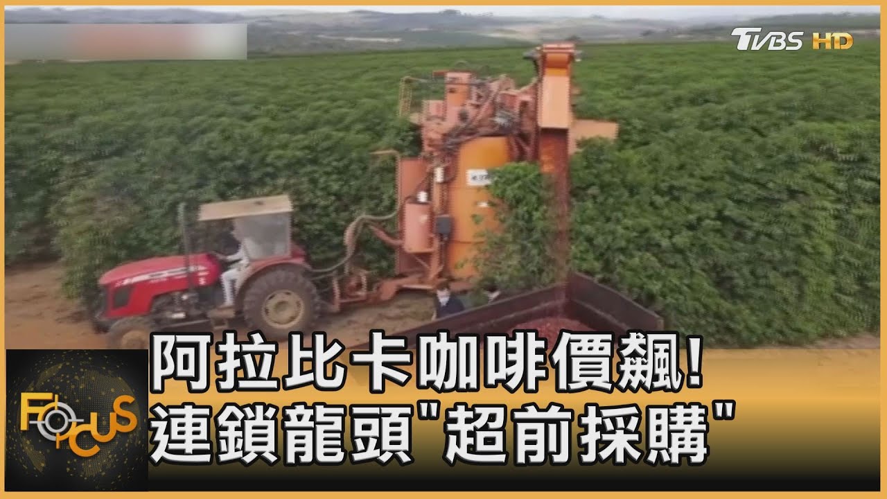 阿拉比卡咖啡　價飆！連鎖龍頭「超前採購」