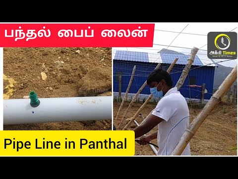 பந்தல் பைப் லைன் Pipe Line in Panthal.