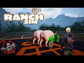 RANCH SIMULATOR E6  How To Make Fast Money  With Your Pigs