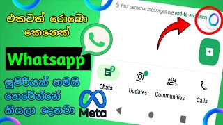 Whatsapp ekatath Ai . @DANIEL-for-Real