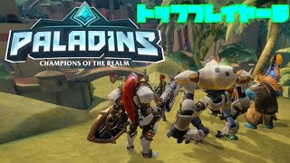 Paladinsトッププレイヤー6