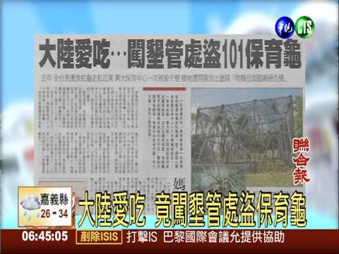 大陸愛吃 竟闖墾管處盜保育龜