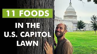 Foraging the U.S. Capitol