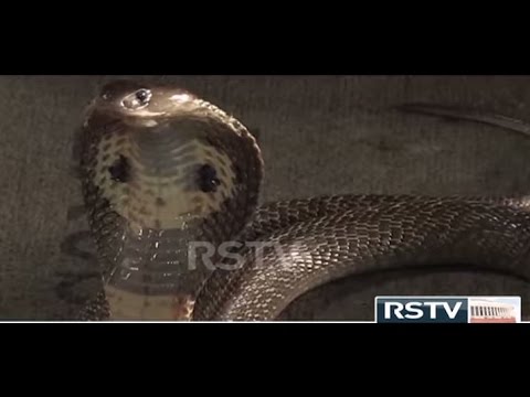 RSTV Documentary - The Big Four