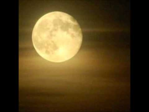 Jihad - The Rebirth Of Babylon