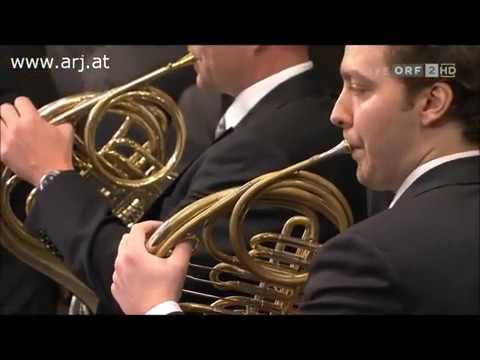 Johann Strauss   On The Beautiful Blue Danube Donauwalzer