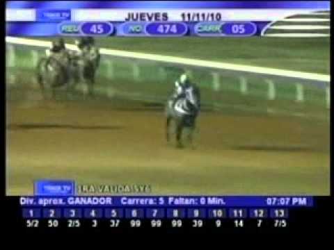 Resumen Jueves, 11 de Noviembre de 2010 - Santa Rita