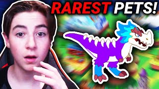 Prodigy Math Game - Top 5 *RAREST* Pets (RARE)
