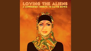 You Belong in Rock n&#39; Roll