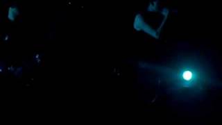 animals -behind the mirror