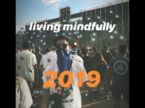 My Year Of Living Mindfully (2019)