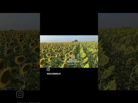 PALUD ASOCIADOS INMOBILIARIA. CAMPO AGRICOLA 50 HAS LAS GARZAS SANTA FE FINACIO 2 AÑOS