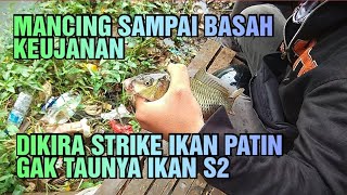 Download lagu Mancing Sampai Basah-Basahan Akibat HuJan, Dikira Strike Ikan Patin Gak Taunya Ikan S2. mp3 Download lagu Mancing Sampai Basah-Basahan Akibat HuJan, Dikira Strike Ikan Patin Gak Taunya Ikan S2. mp3