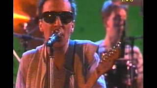 Graham Parker - thunder and rain (Mag Magazine)