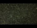 VR Schindler MT Hydraulic Elevator UCLA Underground Parking Los Angeles CA