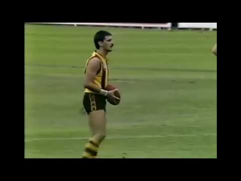 Andrew Demetriou's Only Goal For Hawthorn (Round 10 1988)