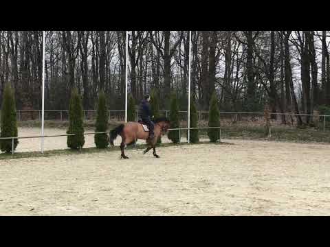 Diathago x Liberty Life