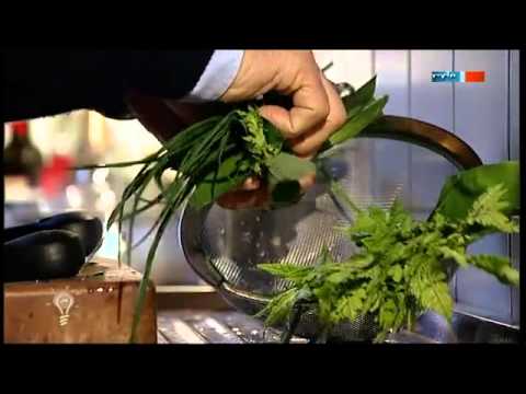 Elektrischer Schneckenschutzzaun "Schneck-Schreck" - MDR Einfach genial - 01.05.2012