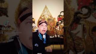 Download lagu WES SUWE ORA TAU TANGGAPAN mp3