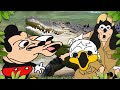 Mokey S Show 427 Crocodile