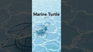 Download lagu 蓝洋海龟 (Marine Turtle) by NCT U | Motion Playlist mp3