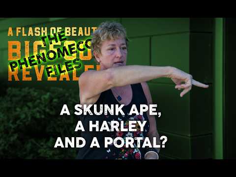 Thumbnail for A Flash of Beauty: Donna