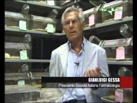 Report: Uomini e topi