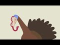 turkey dubstep (AOL) - Známka: 2, váha: velká