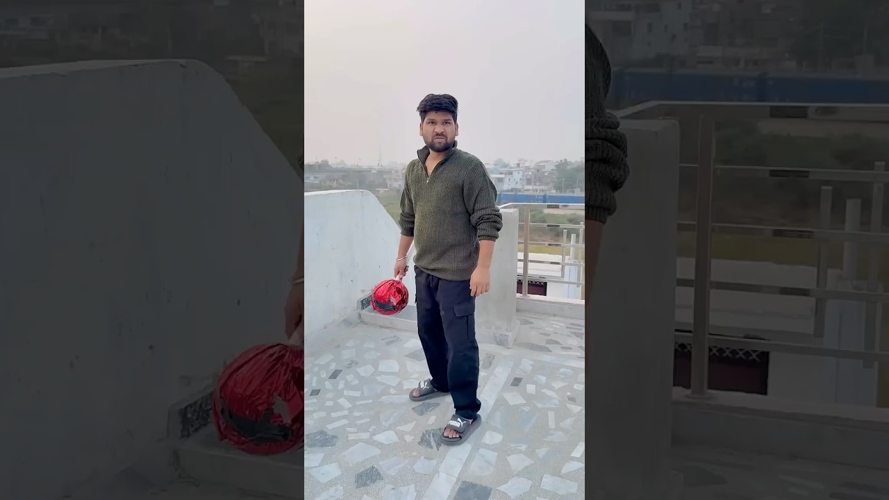 Cutest Cat Antics: A Comedy Show Like No Other 5 Cutest Cat Antics: A Comedy Show Like No Other