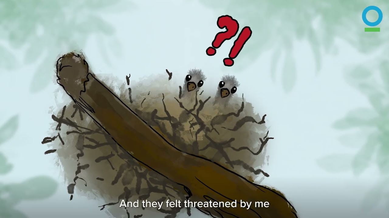 'My Why': Lessons from a Prehistoric Bird