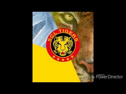 Scl Tigers Goal Song 2018/19