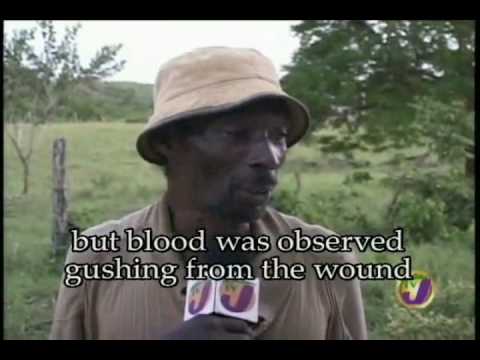 2009 Flash Back - Funnies Clips from DMR Part 1 of 4 (Jan 2010)