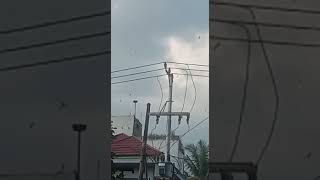 Download lagu sp. abg dahsyat di daerah lampung mp3