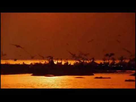 Justine Suissa /  Chicane -- Autumn Tactics