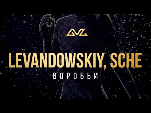 Levandowskiy, SCHE – Воробьи (Mood Video)