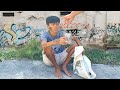 Surviving Homeless
