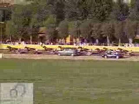 Derby del trotto 2005 - La corsa completa