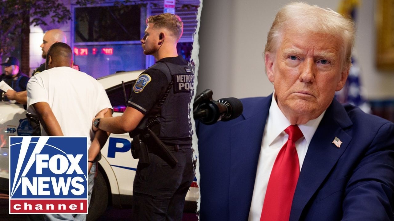 Voter panelists SPAR over migrant crime: 'Collapse of civility'