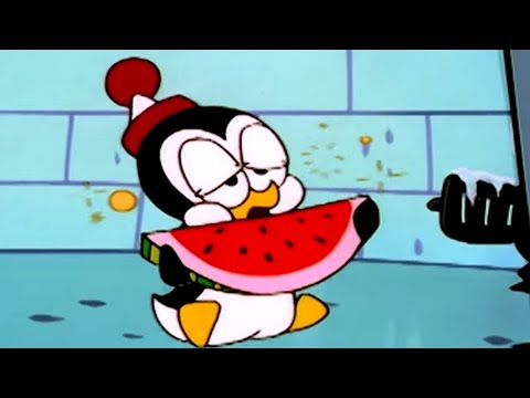 Chilly Willy en Español 🐧Perro frio - Capitulos completos🐧Dibujos Animados