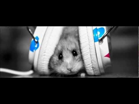 Hepatitis Blau   Wir sind Blau 2010 (FlowOne, Suffatze Schulte  QingMaras)