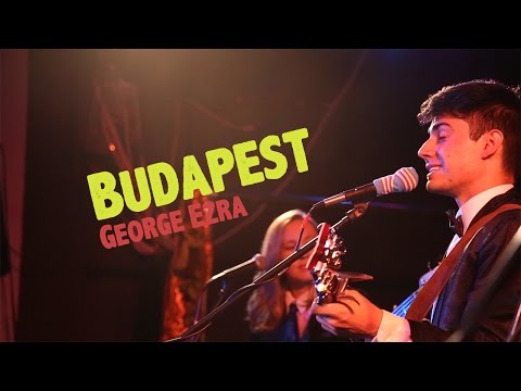 Budapest  - Brodie Kinder and the Killer Bees cover