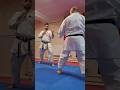 Kumite Technique Karate Kumite Sparring Martialarts