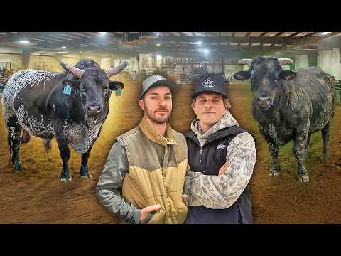 We Brought Our BEST and WORST Bull To A Small Town Rodeo!